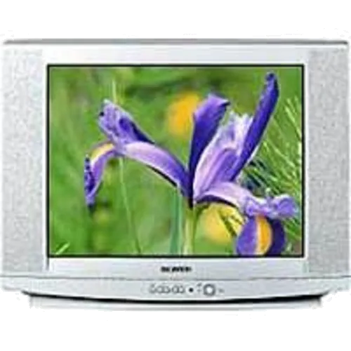 Замена резистора Samsung CS-29U2 WTR