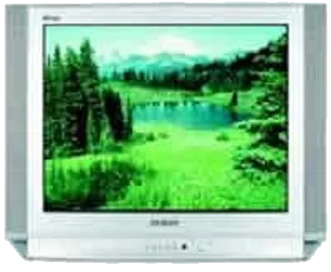 Замена резистора Samsung CS-29D8 WTR