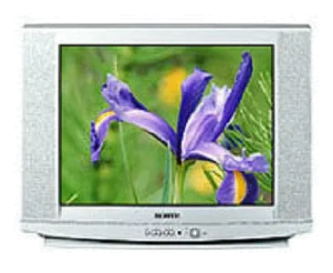Замена резистора Samsung CS-29U2 WTQR